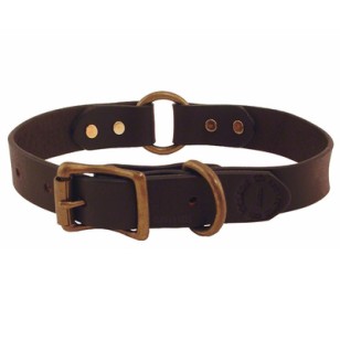 Dog Collar